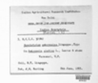 Image Associated With the Occurence